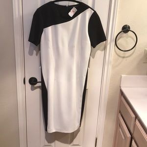 Tahari Black and Cream Dress